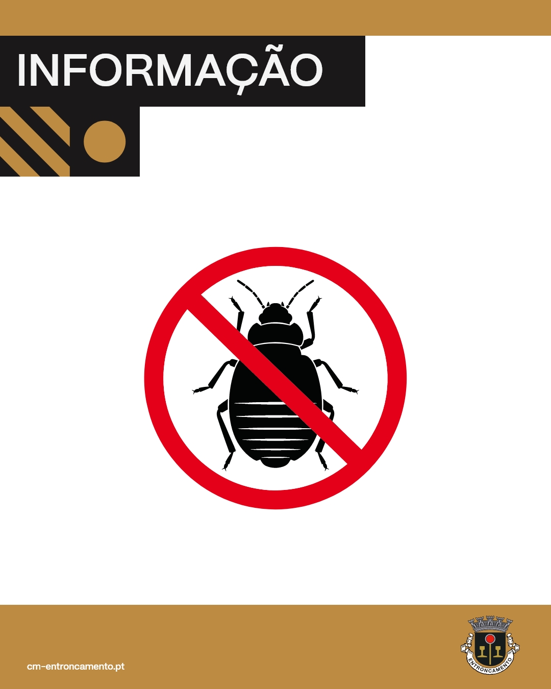 Prevenção de Baratas – Proteja a sua casa e a sua cidade