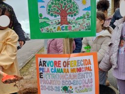 Plantar Árvores 2026