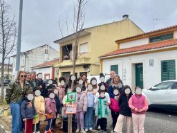 Plantar Árvores 2026