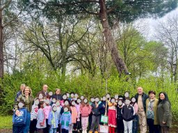 Plantar Árvores 2026