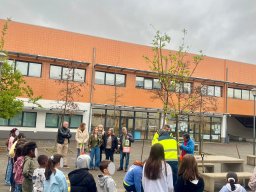 Plantar Árvores 2026