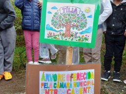 Plantar Árvores 2026