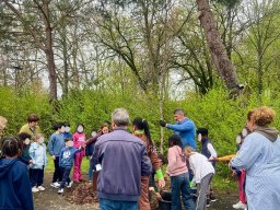 Plantar Árvores 2026