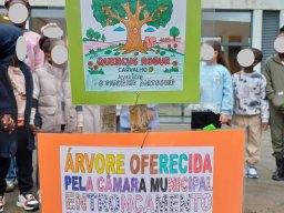 Plantar Árvores 2026